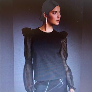 Anthropologie Elegant Black Sheer Sleeve Top